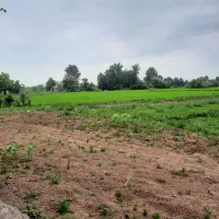 زمین ، باغ