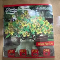 جوانه بونسای مدل ژاپنی و دکوری