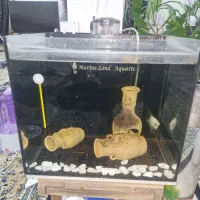 اکواریوم اب شور