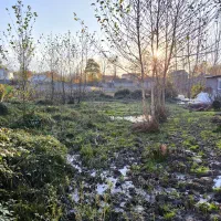 زمین روستایی جهت سرمایه گذاری