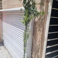 کرکره  برقی در حد نو