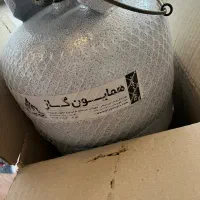 پیک نیک ۲ کیلویی