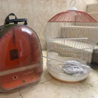 قفس و کیف پرنده