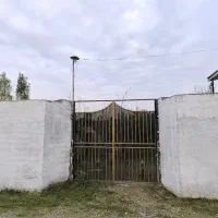 زمین درخوشرودپی روستای شهنه پشته (کاردیکلا)
