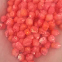 زرت|لوازم جانبی حیوانات|اردبیل, |دیوار