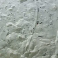 لبنیات کاملا سنتی ،بلوار توس،باغون اباد