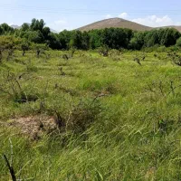 زمین آبی باغی روستای گردشگری حسین آباد بیضا