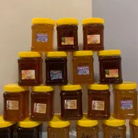 عسل از کندو تا سفره شما ، با طعم تلاش دانشجویی