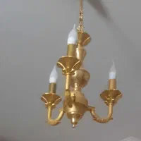 لوسترپذیرایی