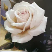 پوستر برا ساخت تابلو سه بعدی