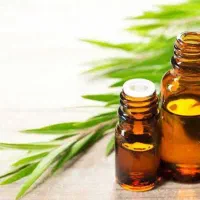 استخدام ماسیس
