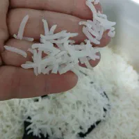 فروشگاه برنج شمال