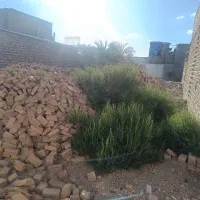 زمین
