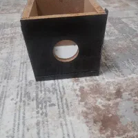 لانه پرنده عروس هلندی