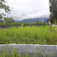 فروش زمین مسکونی جاده سعدآباد