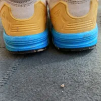 کتونی zx|کیف، کفش، کمربند|رباط‌کریم, الارد|دیوار