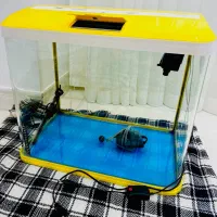 وسایل اکواریوم و اکواریوم