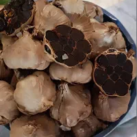 نمایندگی پخش مستقیم سیرسیاه اصل