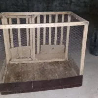 قفس جای مرغ