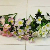 بوته گل|گل و گیاه طبیعی|کرج, اصفهانی‌ها|دیوار