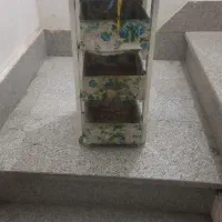 سبد جا سیب زمینی پیاز