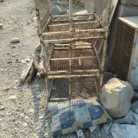 قفس جفتکن سه طبقه معاوضه با پرنده رنگی
