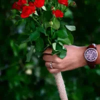 جذب سرمایه باسودماهیانه