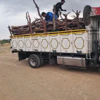 پاک سازی و سامندهی باغ