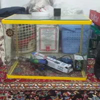 آکواریوم شیشه خم