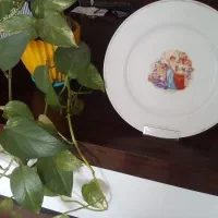 بشقاب چینی  طرح دنس