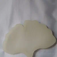 قالب سیلیکونی