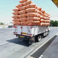 کاه گندم وپرس