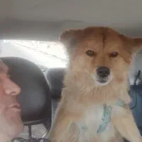 گمشده در محدوده جاده امامزاده اباذر