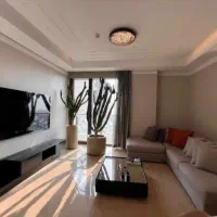 ۱۵۵متر مشاعات فعال بالای کاج