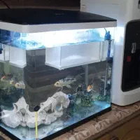 آکواریوم k500