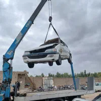 پارس معاوضه تصادفی