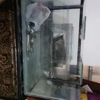 شیشه اکواریوم
