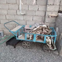 ریگان هست