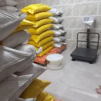 خرید وفروش انواع جو و برنج بومی محلی گیلان