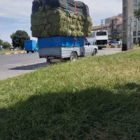 فروش یونجه پرس شده خشک