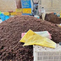 سلطان کشمش . درجه ۲ مخصوص