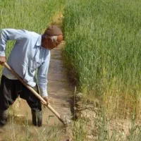زمین-کشاورزی