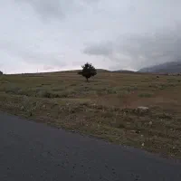 زمین کشاورزی