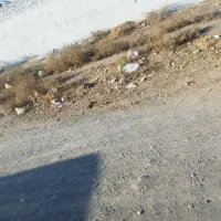 زمین 75 متری