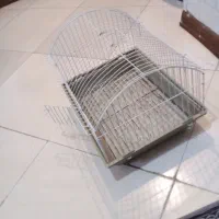 قفس خرگوش