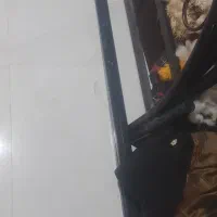 تخت فلزی
