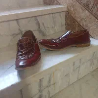 کفش پوست مار درحدنو