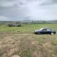 زمین-باغی