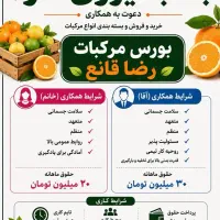 آگهی جذب نیروی آقا