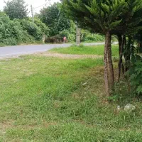 ویلا دوخوابه فومن ماسوله